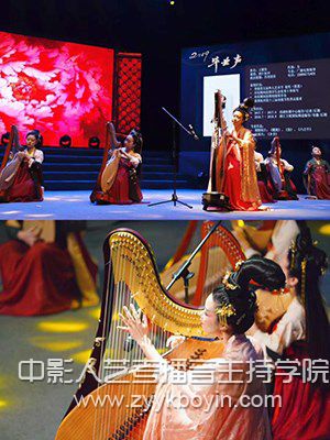 浙傳“畢業(yè)聲2019”專場展演