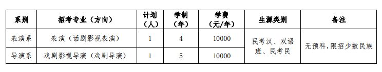 中戲考試